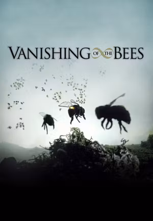 Vanishing of the Bees's poster