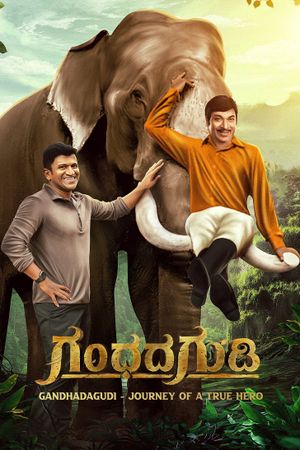 Gandhada Gudi's poster