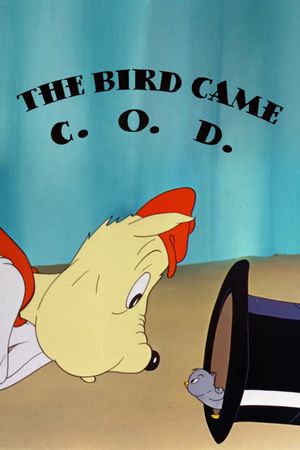 The Bird Came C.O.D.'s poster