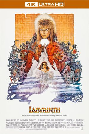 Labyrinth's poster