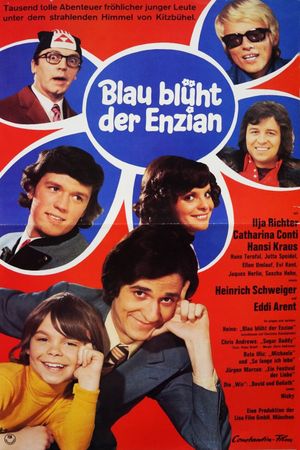 Blau blüht der Enzian's poster
