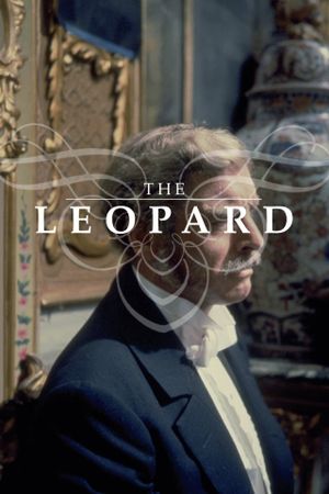 The Leopard's poster