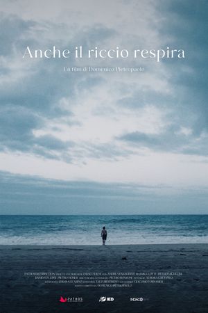 Anche il riccio respira's poster