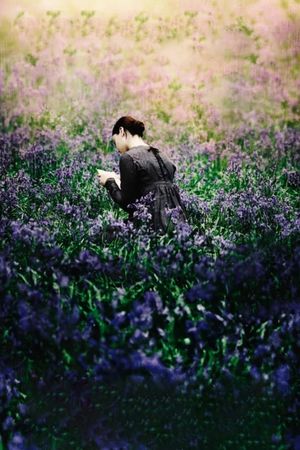 Bright Star's poster