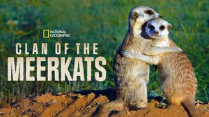 Clan of the Meerkat's poster