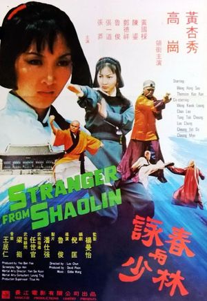 Fight of the Flying Tigers's poster