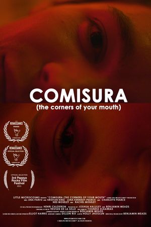 Comisura (The Corners of Your Mouth)'s poster