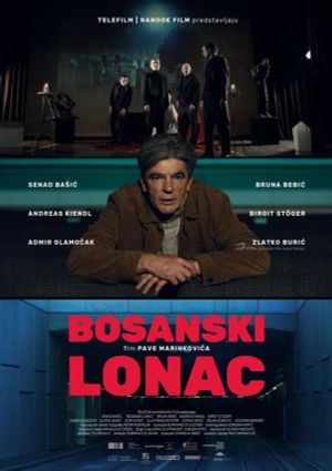Bosanski lonac's poster