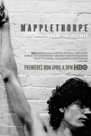 Mapplethorpe: Look at the Pictures's poster