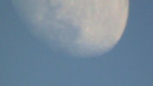 Moonwalk's poster