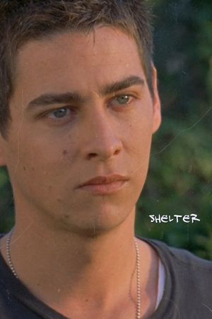 Shelter's poster
