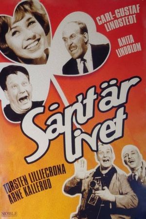 Vi fixar allt's poster