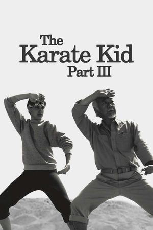 The Karate Kid Part III's poster