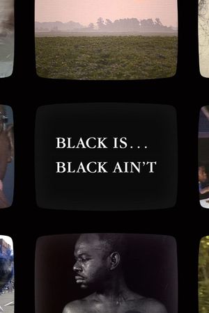 Black Is... Black Ain't's poster image