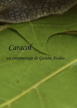 Caracol's poster image