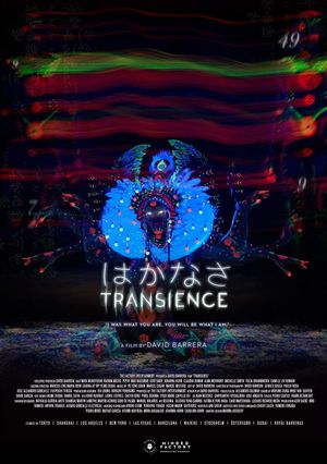 Transience's poster