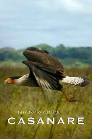 Territorio natural Casanare's poster