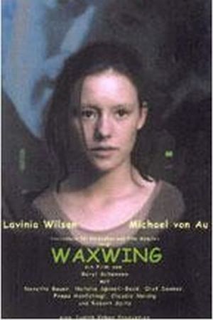 Waxwing's poster