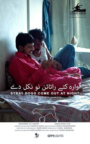 Stray Dogs Come Out at Night's poster