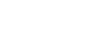 The Violin Player's poster