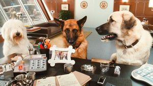 Cats & Dogs: The Revenge of Kitty Galore's poster