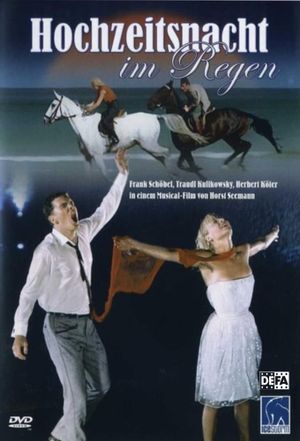 Wedding Night in the Rain's poster