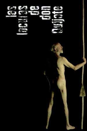 Las locuras de Don Quijote's poster
