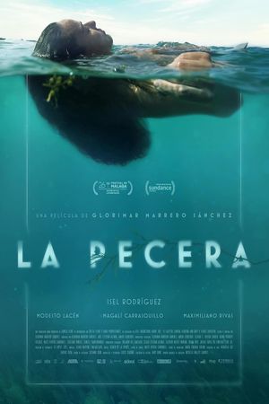 La Pecera's poster