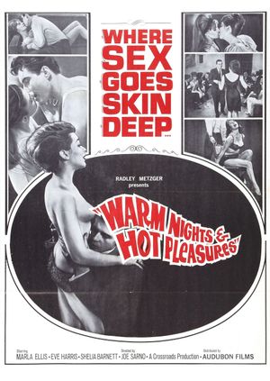 Warm Nights and Hot Pleasures's poster