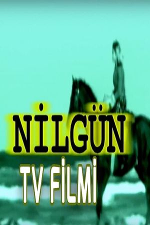 Nilgün's poster image