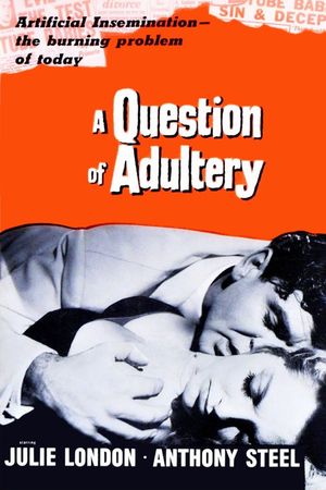 A Question of Infidelity's poster