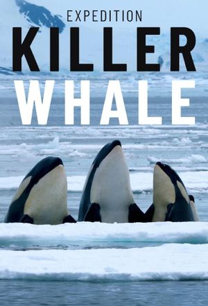 Expedition Killer Whale's poster