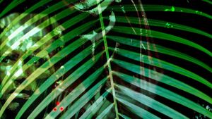 Predator's poster