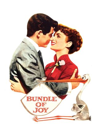 Bundle of Joy's poster image