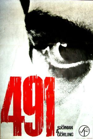 491's poster