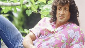 Stallone, profession héros's poster