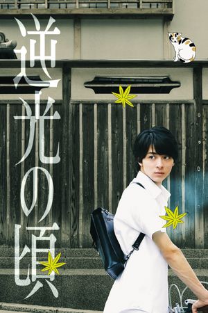 Lights of Kyoto's poster