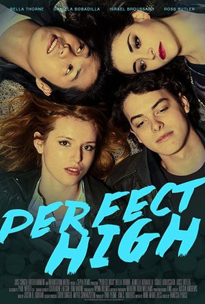 Perfect High's poster