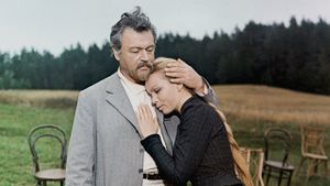 The Seagull's poster