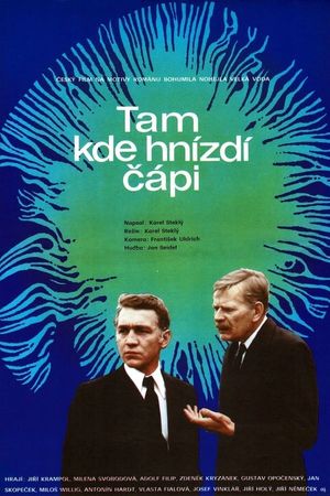 Tam, kde hnizdi cápi's poster