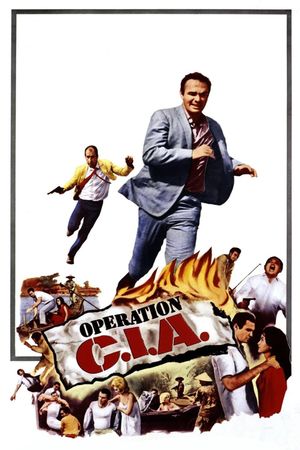 Operation C.I.A.'s poster