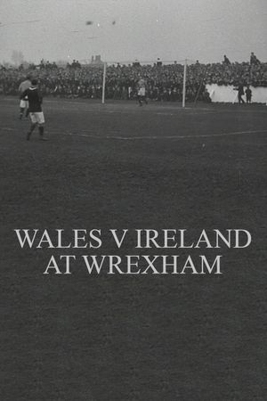 Wales v. Ireland at Wrexham's poster