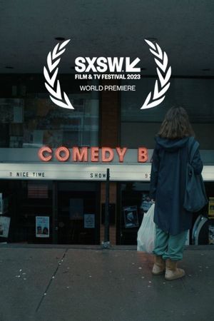 I Used to Be Funny's poster