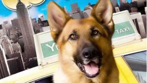 Cool Dog's poster