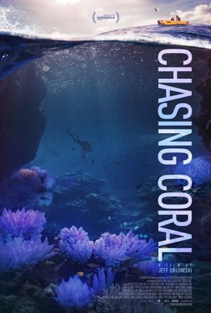 Chasing Coral's poster