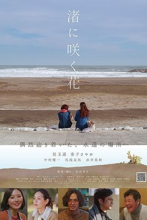 Flowers Blooming on the Shore's poster