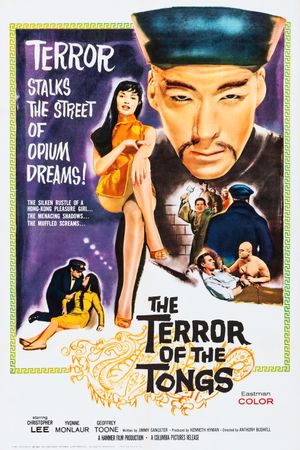 The Terror of the Tongs's poster