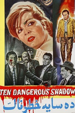 Ten Dangerous Shadows's poster image