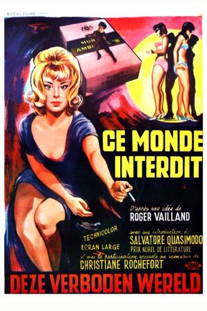 Questo mondo proibito's poster