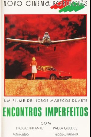 Encontros Imperfeitos's poster